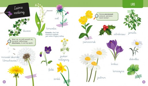 Wielka księga przyrody srodki elibri 2